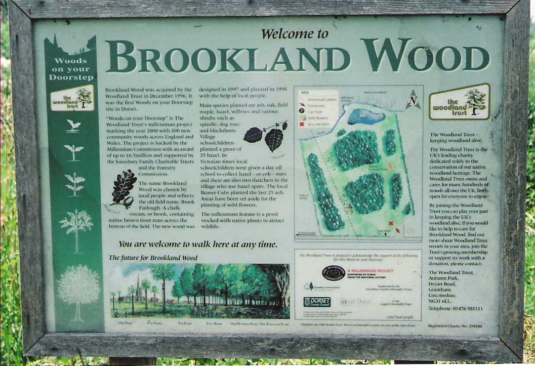 Brookland Wood 10 Years on