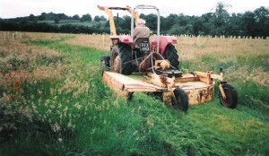 Grass-cutting Brookland Wood