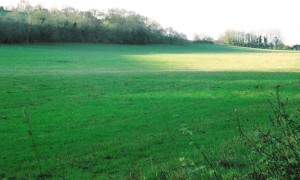 Netton Field